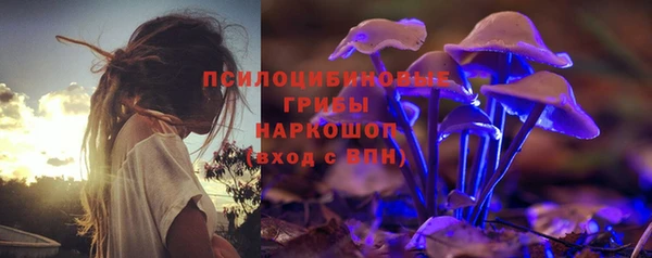 спайс Дмитров