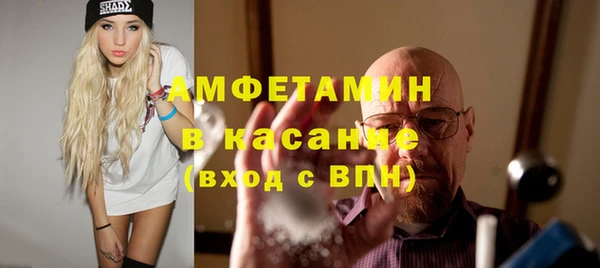 прущие грибы Дмитровск