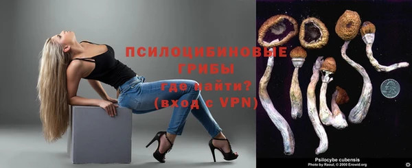 прущие грибы Дмитровск