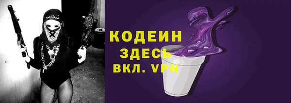 прущие грибы Дмитровск