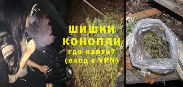 прущие грибы Дмитровск