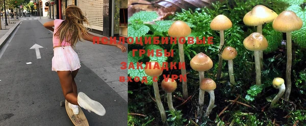метамфетамин Дмитриев